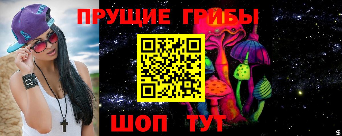 Псилоцибиновые грибы ЛСД Вышний Волочёк