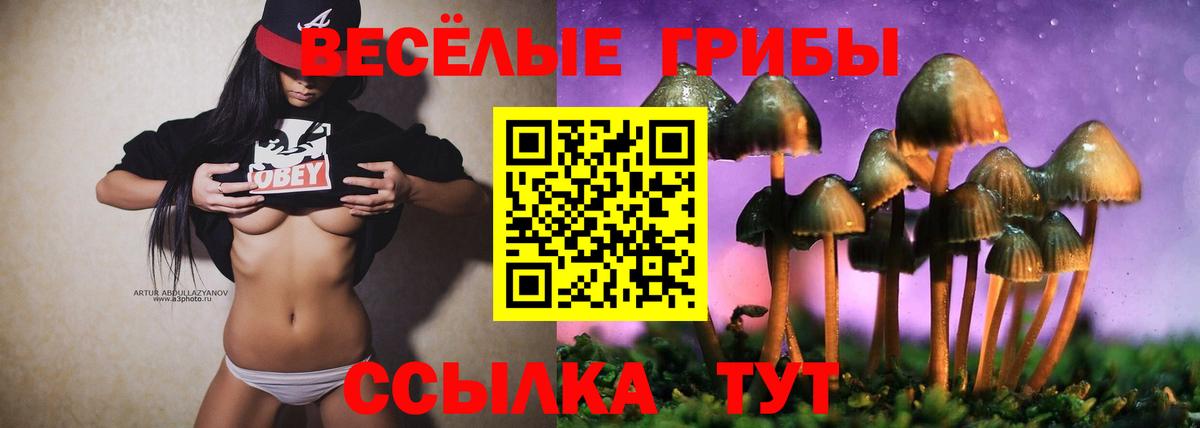 Вышний Волочёк  Галлюциногенные грибы Magic Shrooms  Галлюциногенные грибы Cubensis  Вход с VPN 